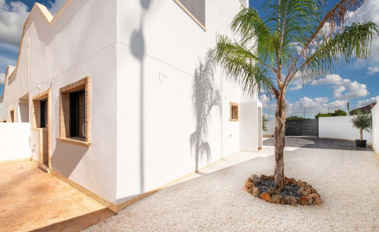 Apartement - Nouvelle construction - Cox - Cox