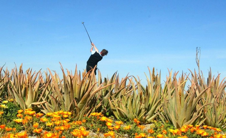 New Build - Villa - Cuevas del Almanzora - Villaricos