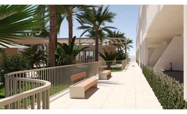 New Build - Apartment - Torre - Pacheco