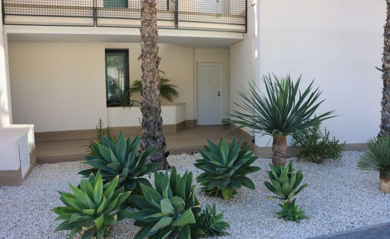 Resale - Apartment - Monforte del Cid - Font del Llop